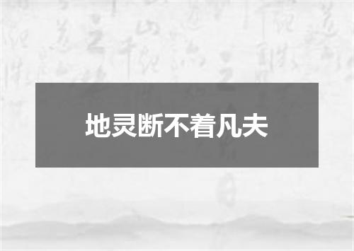 地灵断不着凡夫