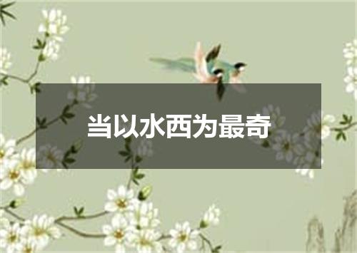 当以水西为最奇