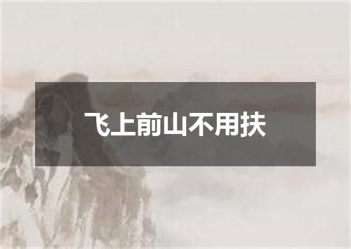 飞上前山不用扶
