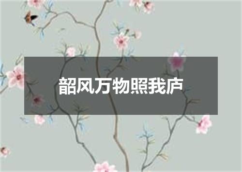 韶风万物照我庐