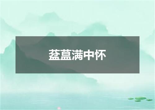 葐蒀满中怀