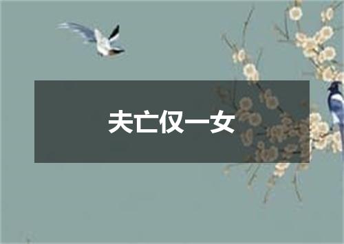 夫亡仅一女
