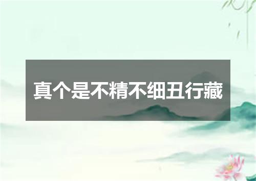真个是不精不细丑行藏