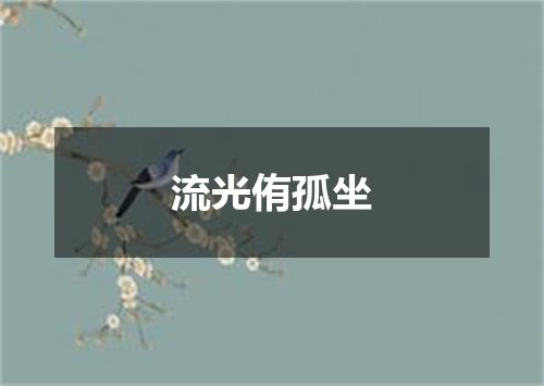 流光侑孤坐