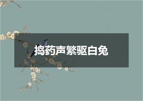 捣药声繁驱白兔