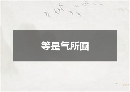 等是气所囿