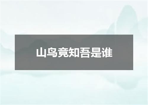 山鸟竟知吾是谁