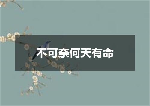 不可奈何天有命