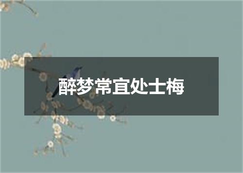 醉梦常宜处士梅