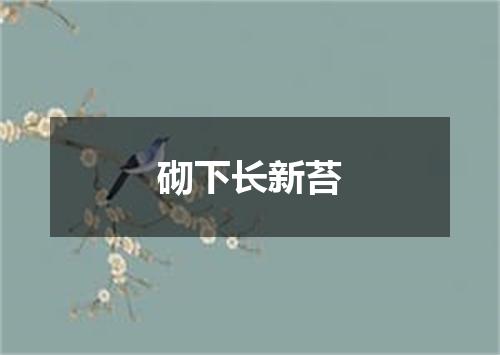 砌下长新苔