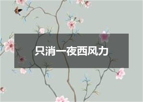 只消一夜西风力