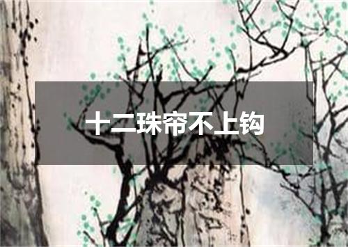 十二珠帘不上钩