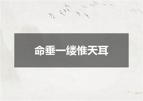 命垂一缕惟天耳