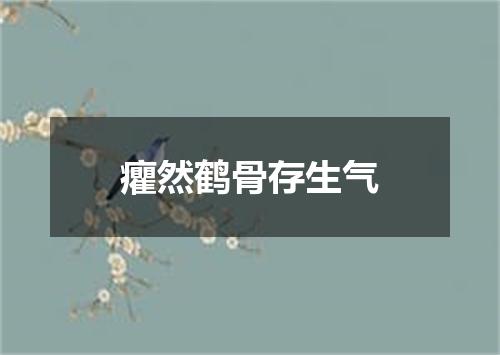 癯然鹤骨存生气