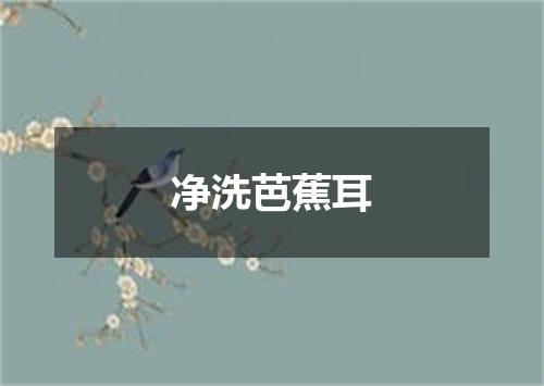 净洗芭蕉耳