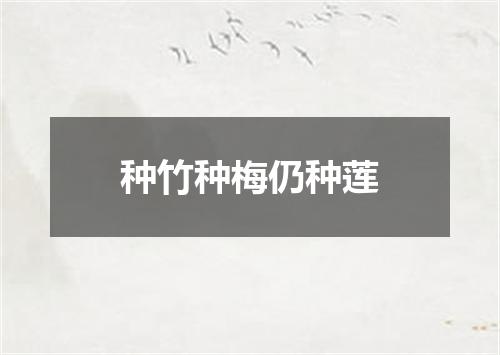 种竹种梅仍种莲
