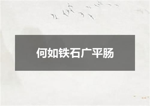 何如铁石广平肠