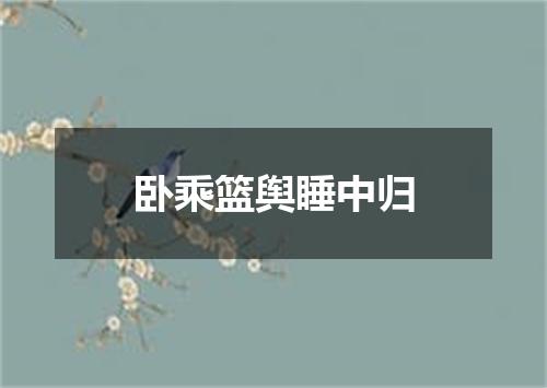 卧乘篮舆睡中归