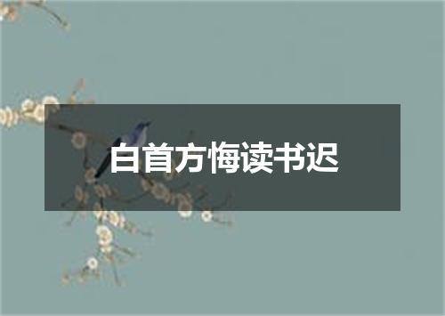 白首方悔读书迟