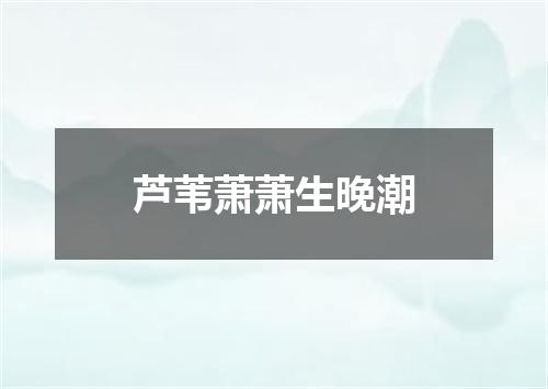 芦苇萧萧生晚潮