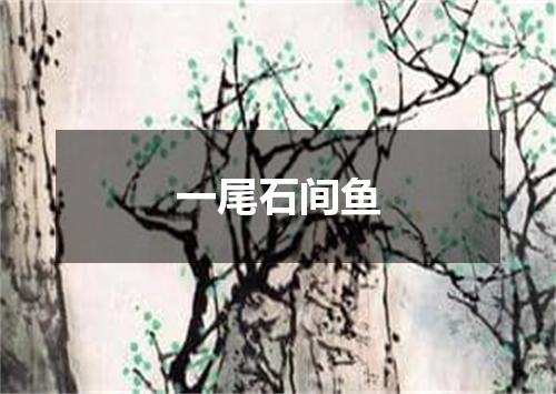 一尾石间鱼