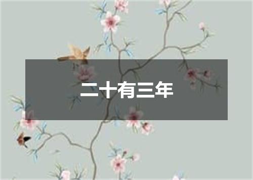 二十有三年