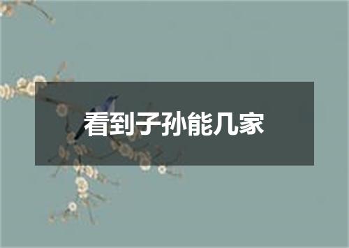 看到子孙能几家