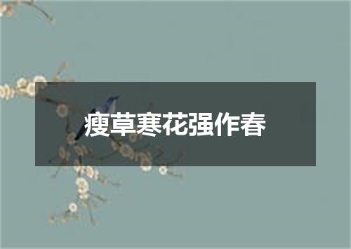 瘦草寒花强作春