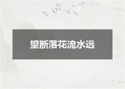 望断落花流水远