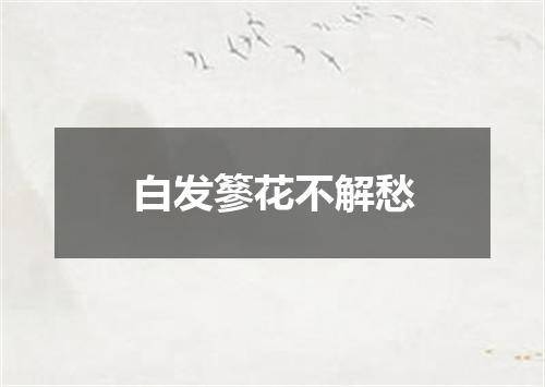 白发篸花不解愁