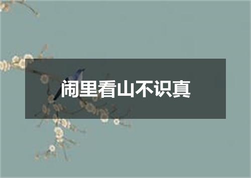 闹里看山不识真