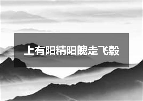 上有阳精阳魄走飞毂