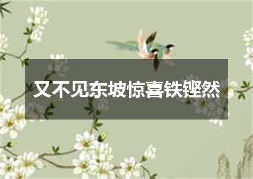 又不见东坡惊喜铁铿然