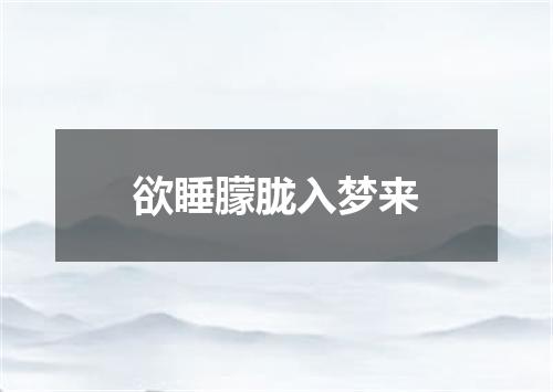 欲睡朦胧入梦来