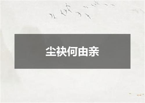 尘袂何由亲