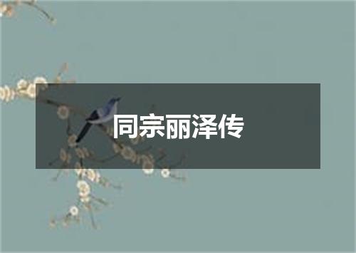 同宗丽泽传