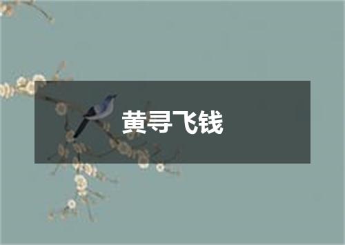 黄寻飞钱