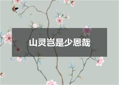 山灵岂是少恩哉