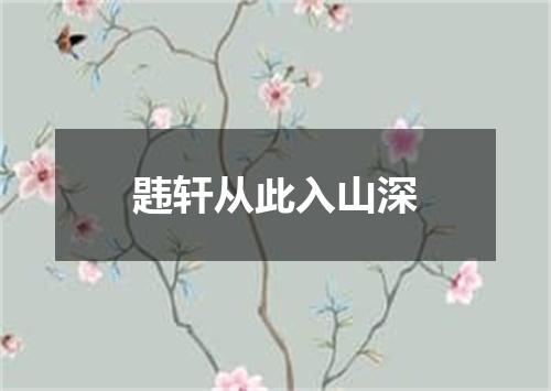 韪轩从此入山深