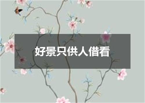 好景只供人借看