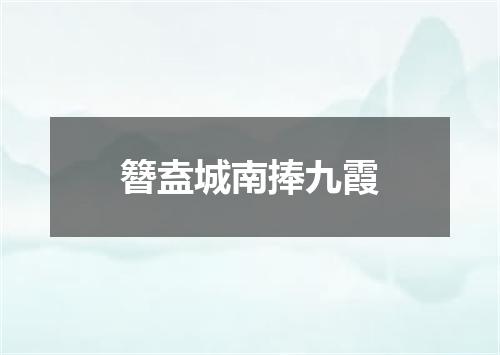 簪盍城南捧九霞