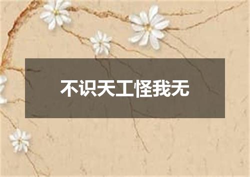 不识天工怪我无