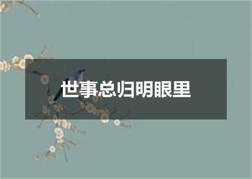 世事总归明眼里