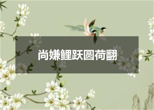 尚嫌鲤跃圆荷翻