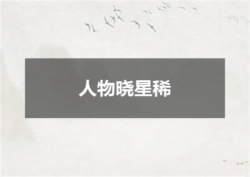 人物晓星稀