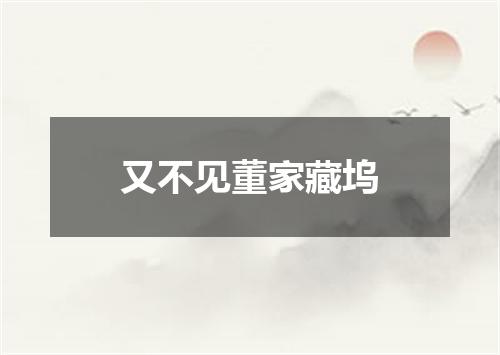 又不见董家藏坞