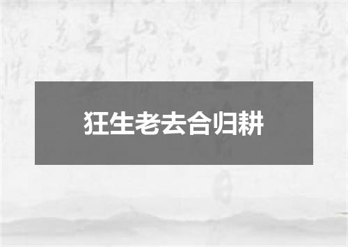 狂生老去合归耕