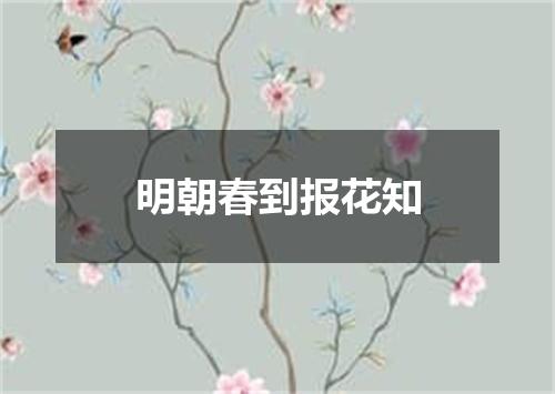 明朝春到报花知