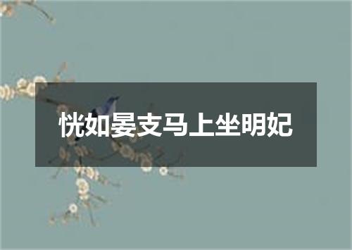 恍如晏支马上坐明妃