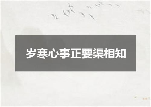 岁寒心事正要渠相知